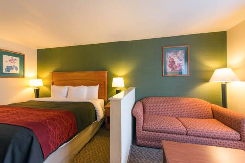 Imagen de la habitación del Hotel Comfort Inn and Suites Salem. Foto 2