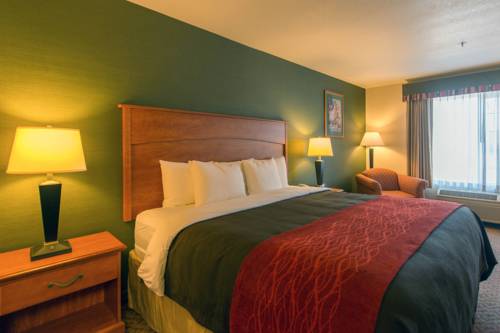 Imagen de la habitación del Hotel Comfort Inn and Suites Salem. Foto 3