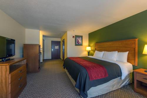 Imagen de la habitación del Hotel Comfort Inn and Suites Salem. Foto 4