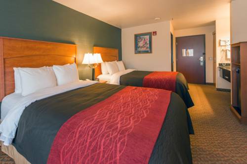 Imagen de la habitación del Hotel Comfort Inn and Suites Salem. Foto 6