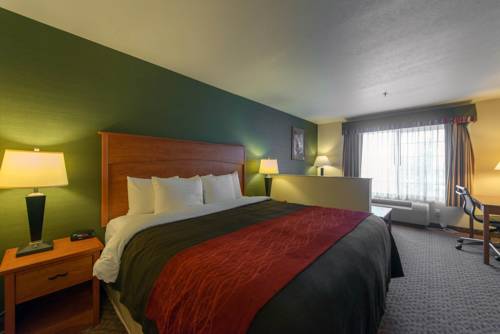 Imagen de la habitación del Hotel Comfort Inn and Suites Salem. Foto 7
