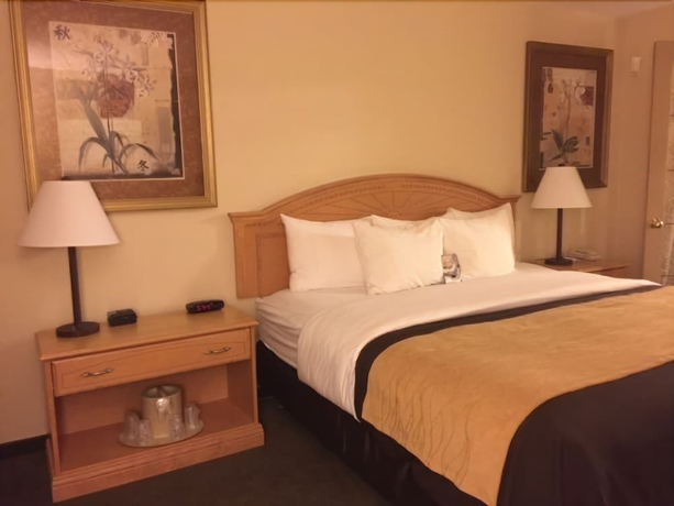 Imagen de la habitación del Hotel Comfort Inn and Suites, Salmon Arm. Foto 2