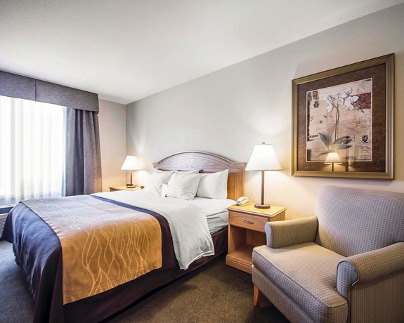 Imagen de la habitación del Hotel Comfort Inn and Suites, Salmon Arm. Foto 14