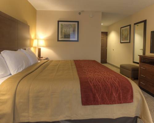 Imagen de la habitación del Hotel Comfort Inn and Suites Santee. Foto 2
