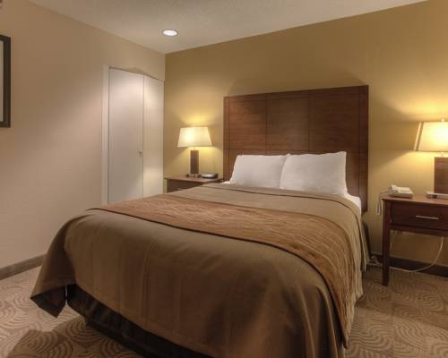 Imagen de la habitación del Hotel Comfort Inn and Suites Santee. Foto 9