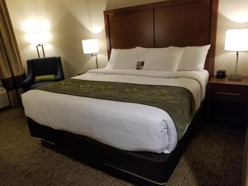 Imagen de la habitación del Hotel Comfort Inn and Suites Schenectady - Scotia. Foto 7