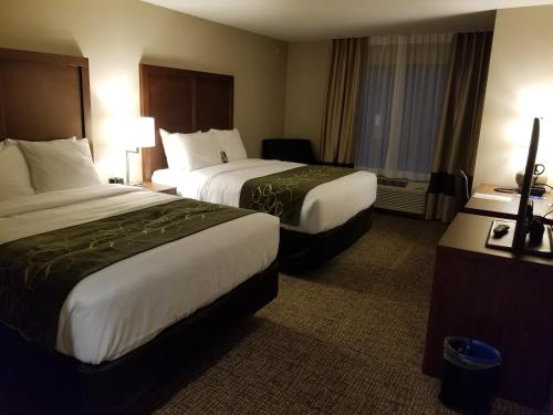 Imagen de la habitación del Hotel Comfort Inn and Suites Schenectady - Scotia. Foto 9