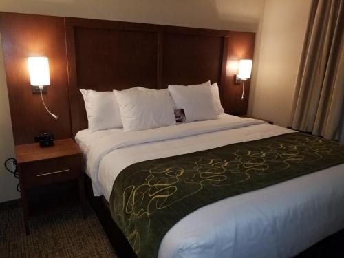 Imagen de la habitación del Hotel Comfort Inn and Suites Schenectady - Scotia. Foto 10