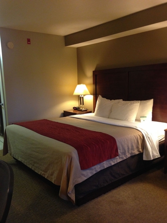 Imagen general del Hotel Comfort Inn and Suites Sequoia/kings Canyon. Foto 1