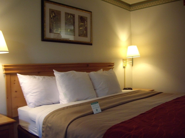Imagen de la habitación del Hotel Comfort Inn and Suites Sequoia/kings Canyon. Foto 8