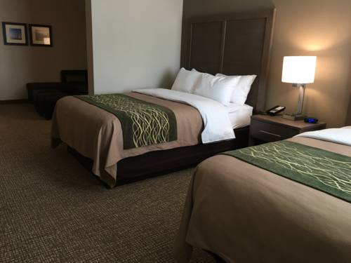 Imagen de la habitación del Hotel Comfort Inn and Suites, Snyder . Foto 1