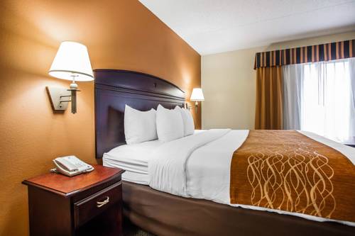 Imagen de la habitación del Hotel Comfort Inn and Suites Somerset - New Brunswick. Foto 3