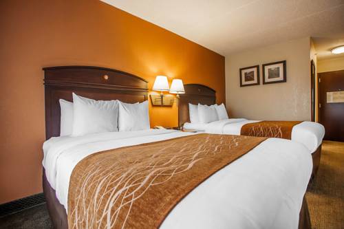Imagen de la habitación del Hotel Comfort Inn and Suites Somerset - New Brunswick. Foto 4
