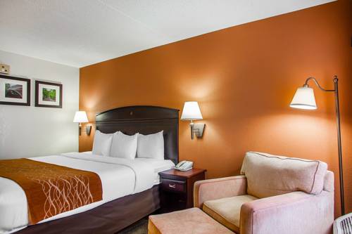Imagen de la habitación del Hotel Comfort Inn and Suites Somerset - New Brunswick. Foto 5