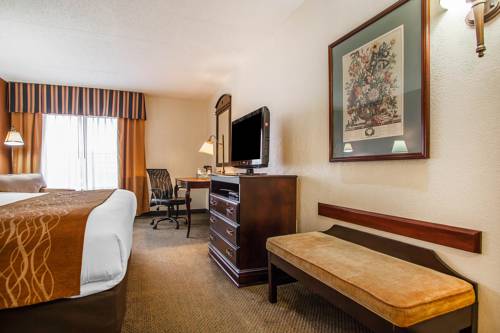 Imagen de la habitación del Hotel Comfort Inn and Suites Somerset - New Brunswick. Foto 6