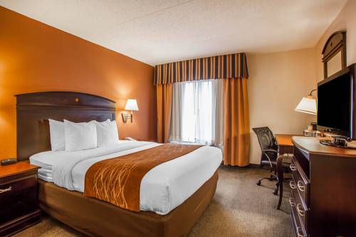 Imagen de la habitación del Hotel Comfort Inn and Suites Somerset - New Brunswick. Foto 7