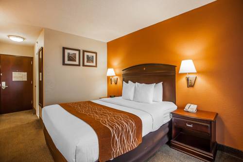 Imagen de la habitación del Hotel Comfort Inn and Suites Somerset - New Brunswick. Foto 8