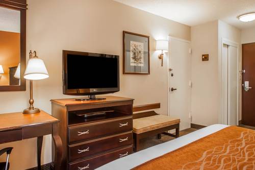 Imagen de la habitación del Hotel Comfort Inn and Suites Somerset - New Brunswick. Foto 9