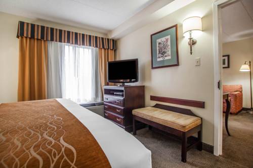 Imagen de la habitación del Hotel Comfort Inn and Suites Somerset - New Brunswick. Foto 12