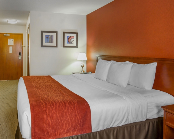 Imagen de la habitación del Hotel Comfort Inn and Suites South. Foto 6