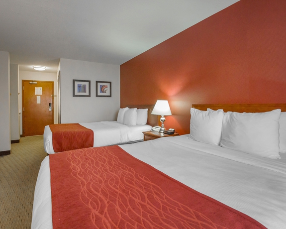 Imagen de la habitación del Hotel Comfort Inn and Suites South. Foto 8