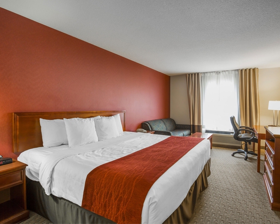 Imagen de la habitación del Hotel Comfort Inn and Suites South. Foto 9