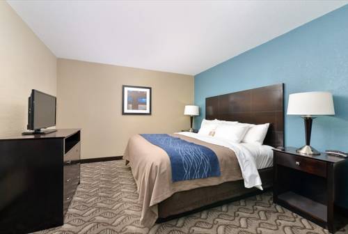 Imagen general del Hotel Comfort Inn and Suites Springfield I-55. Foto 1