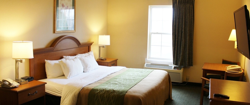 Imagen de la habitación del Hotel Comfort Inn and Suites St. Louis - Chesterfield. Foto 5