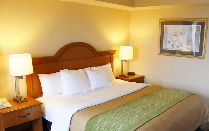 Imagen de la habitación del Hotel Comfort Inn and Suites St. Louis - Chesterfield. Foto 6