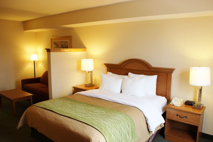 Imagen de la habitación del Hotel Comfort Inn and Suites St. Louis - Chesterfield. Foto 8