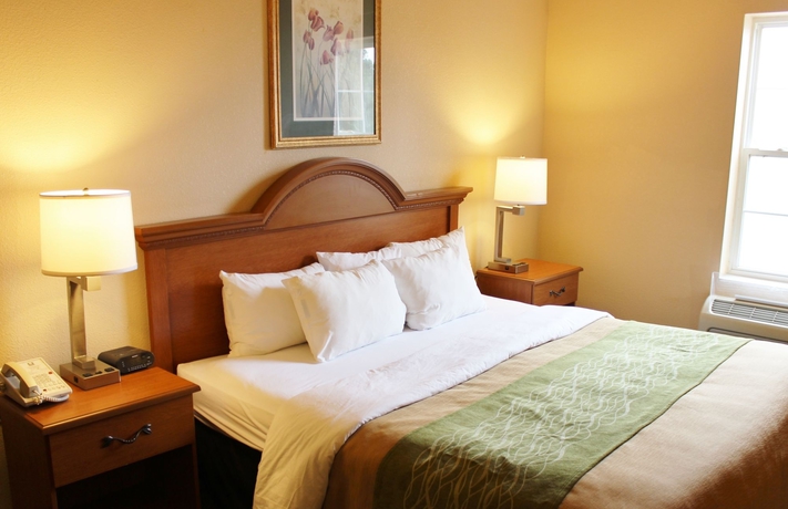 Imagen de la habitación del Hotel Comfort Inn and Suites St. Louis - Chesterfield. Foto 10