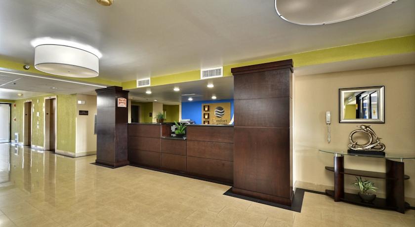 Imagen general del Hotel Comfort Inn and Suites St. Pete - Clearwater International Airport. Foto 2