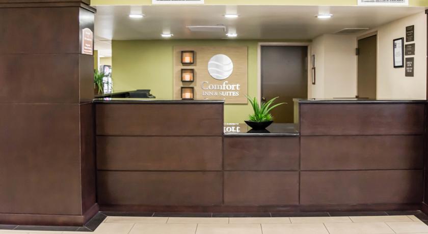 Imagen general del Hotel Comfort Inn and Suites St. Pete - Clearwater International Airport. Foto 4