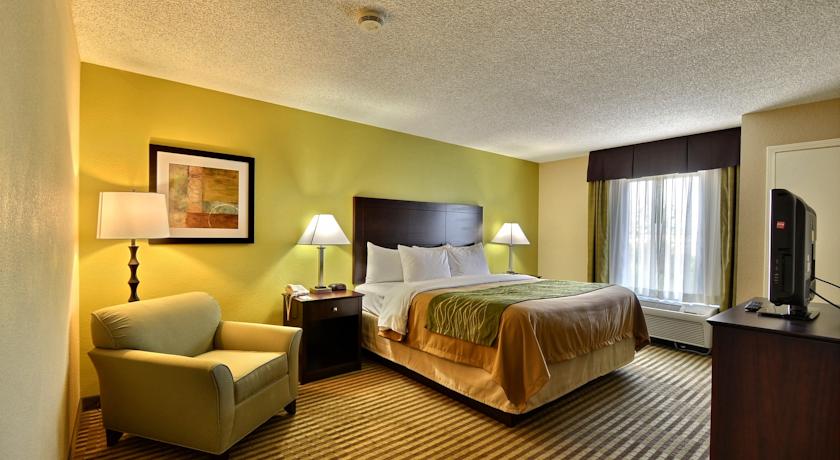 Imagen general del Hotel Comfort Inn and Suites St. Pete - Clearwater International Airport. Foto 7