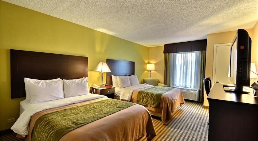 Imagen general del Hotel Comfort Inn and Suites St. Pete - Clearwater International Airport. Foto 8