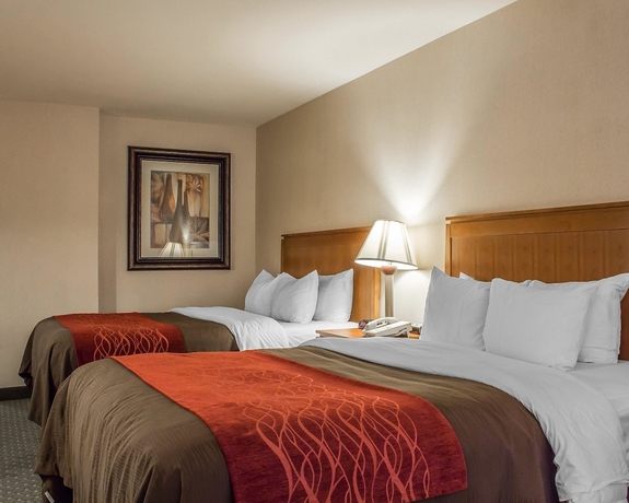 Imagen de la habitación del Hotel Comfort Inn and Suites Thatcher - Safford. Foto 4