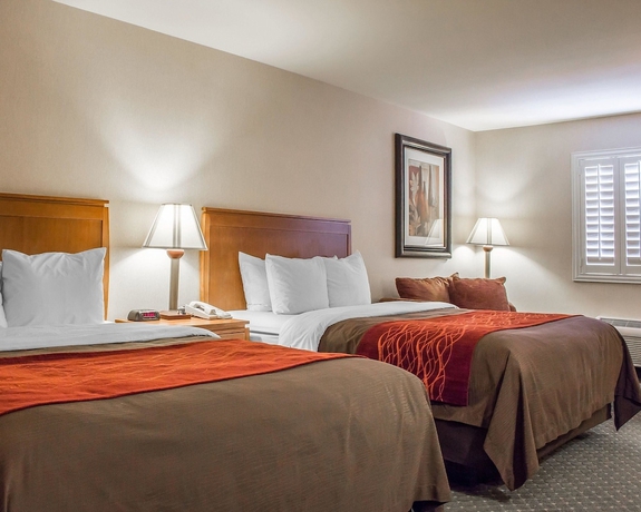 Imagen de la habitación del Hotel Comfort Inn and Suites Thatcher - Safford. Foto 5