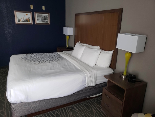 Imagen de la habitación del Hotel Comfort Inn and Suites Tipp City - I-75. Foto 3