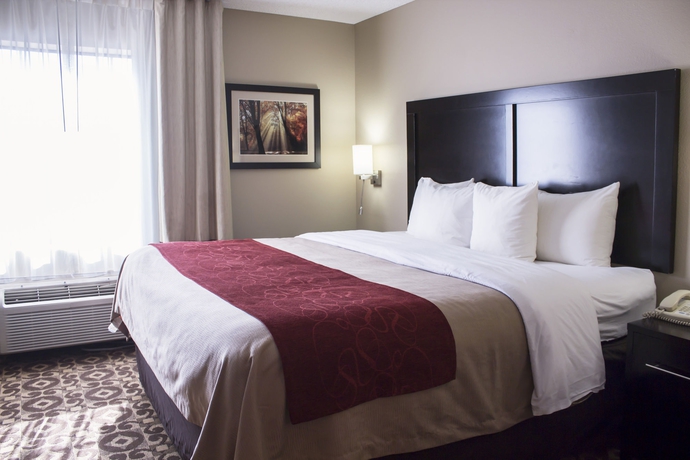 Imagen de la habitación del Hotel Comfort Inn and Suites Trussville I-59 Exit 141. Foto 5