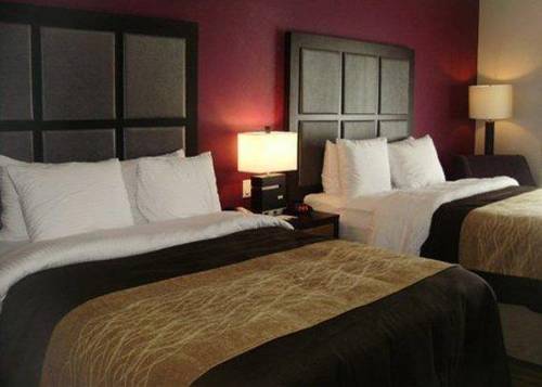 Imagen de la habitación del Hotel Comfort Inn and Suites Tulsa I-44 West - Rt 66. Foto 3