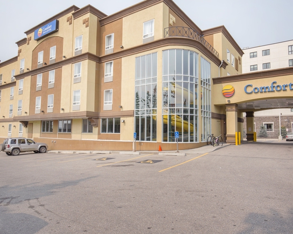 Imagen general del Hotel Comfort Inn and Suites University. Foto 1