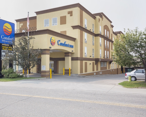 Imagen general del Hotel Comfort Inn and Suites University. Foto 2