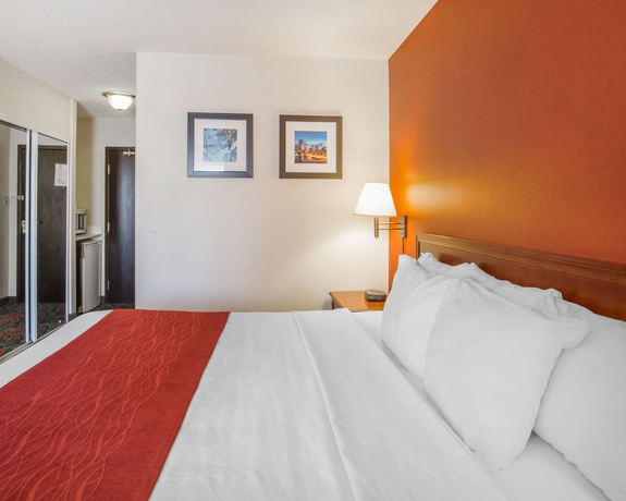 Imagen de la habitación del Hotel Comfort Inn and Suites University. Foto 7