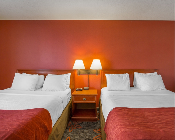 Imagen de la habitación del Hotel Comfort Inn and Suites University. Foto 8