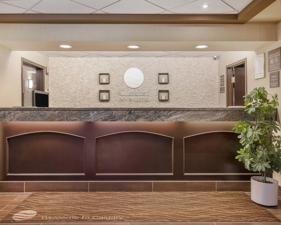 Imagen de los interiores del Hotel Comfort Inn and Suites University. Foto 13