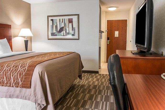 Imagen de la habitación del Hotel Comfort Inn and Suites University South. Foto 10