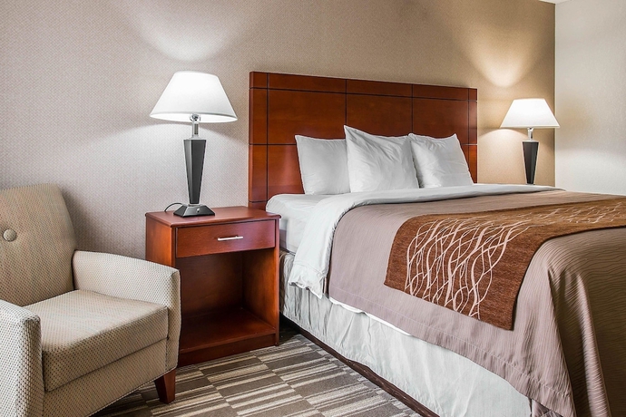 Imagen de la habitación del Hotel Comfort Inn and Suites University South. Foto 11