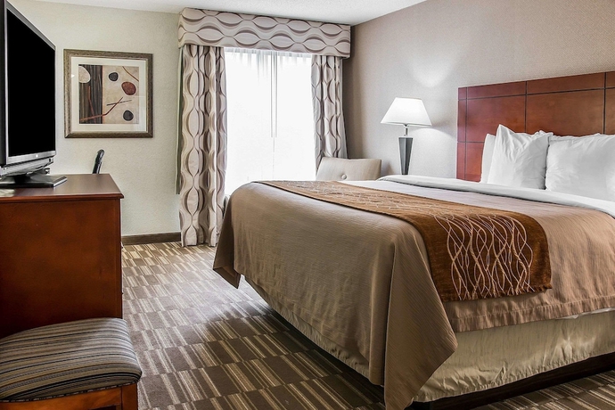 Imagen de la habitación del Hotel Comfort Inn and Suites University South. Foto 14