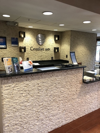 Imagen de los interiores del Hotel Comfort Inn and Suites University South. Foto 15