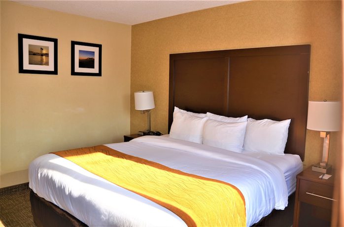 Imagen de la habitación del Hotel Comfort Inn and Suites Vancouver Downtown City Center. Foto 4